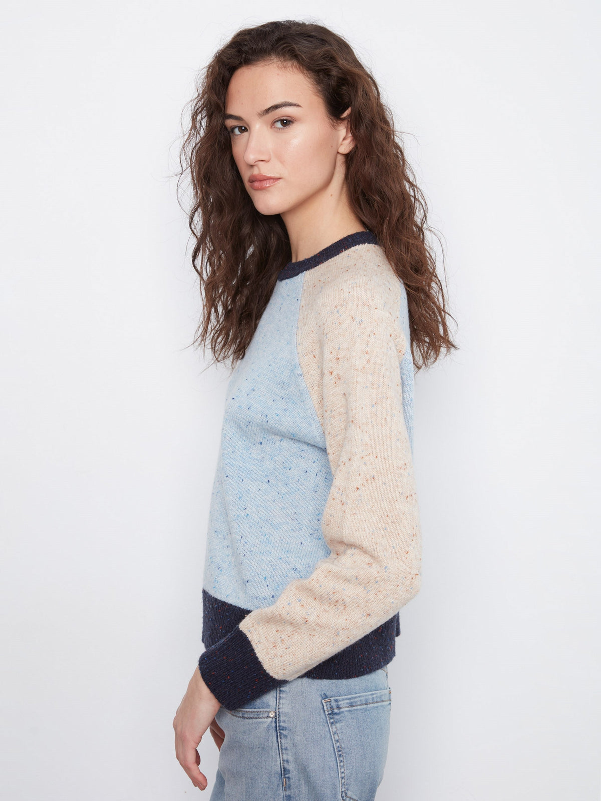 Color Block Knit Sweater - Iris