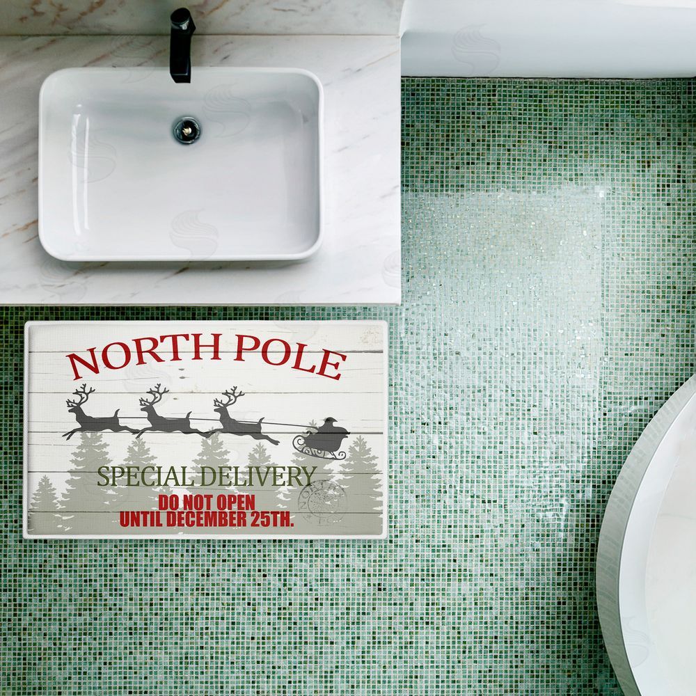 Kim Allen | Special Delivery Holiday Sleigh Plush Bath Mat