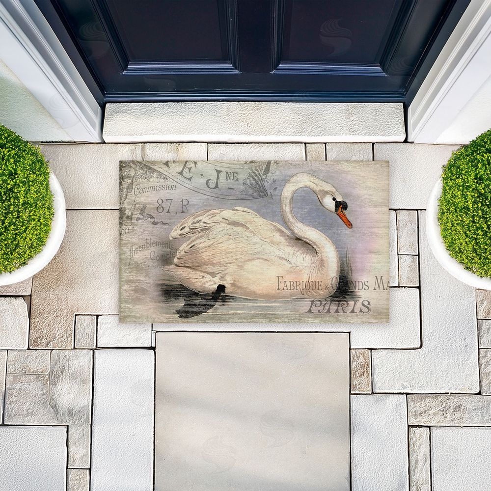 Suzanne Nicoll | French Swan Vintage Motif Non-Woven Door Mat