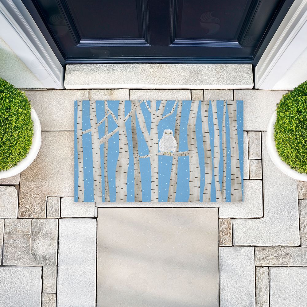 Darlene Seale | Winter Birches & Owl Non-Woven Door Mat